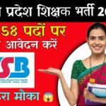 mpesb recruitment 2025